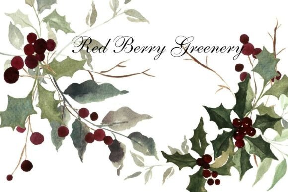 Watercolor Christmas Holly Clipart Png: A Designer’s Review for Seasonal Illustrations